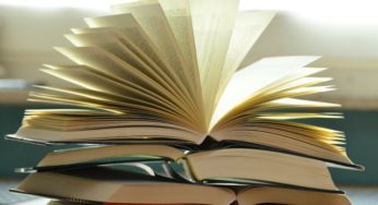 TOP 10 – Dez romances policiais de 2015