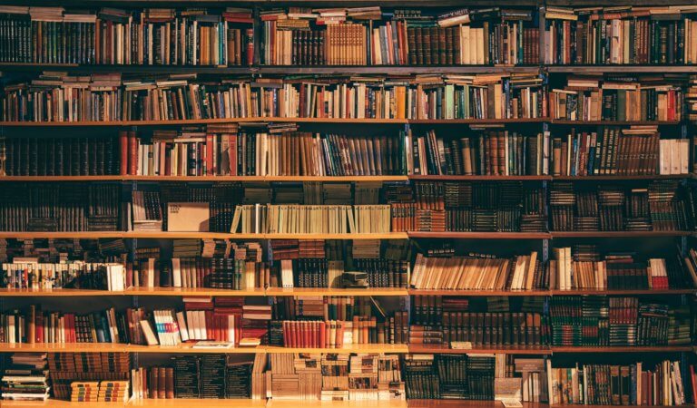 DICA | Como manter livros limpos e sem mofo